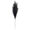 42" Black Pampas Grass Stem by Ashland®